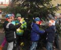 Bild: amö
Die Schüler schmückten den Christbaum am Marktplatz in Winklarn.