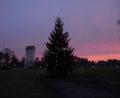 Bild: mor
Weihnachtsbaum in den Towerbarracks im Morgenrot vor dem Wasserturm.