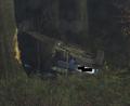 Bild: adj
Am Baum sind deutlich Spuren des Aufpralls zu erkennen.