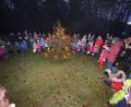 Bild: nib
Nach einer kurzen Wanderung versammelten sich die Kinder mit ihren Eltern um den Weihnachtsbaum und sangen weihnachtliche Lieder.