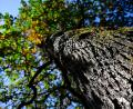 Bild: A4366 Sven Hoppe/dpa
Sonne und milde Temperaturen werden in Bayern erwartet. (Archivbild)