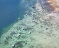 Bild: Marius Bulling/onw-images/dpa
Boote liegen im flachen Wasser am Ufer des Bodensees.