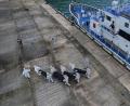 Bild: Aaron Favila/AP/dpa
Nach dem Brand auf der Fähre „MV June Aster“ werden immer mehr Tote geborgen.