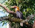 Bild: Tobias Hase/dpa
Der Tierpark Hellabrunn ist ein beliebtes Ausflusgziel in Bayern - im Oktober steigen die Eintrittspreise. (Archivbild)