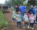 Bild: Richard Braun
Mit großen Eifer beteiligten sich die Kinder am Erdäpfelklauben.Vorher musste der Schorsch noch die Erdäpfel und das Kartoffelkraut zur Seite räumen