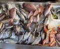 Bild: Alexia Angelopoulou/dpa
Frischen Fisch erkennt man unter anderen an den klaren, glänzenden Augen.