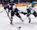 Archivbild: Werner Moller
Die Blue Devils Weiden starten in dieser Woche in die neue Saison. Wirtschaftlich gibt es vor dem Auftakt positive Nachrichten.
