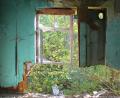 Bild: Evi Wagner
Der Begriff „Lost Places“ beschreibt Bauwerke der jüngeren Geschichte, die vom Menschen dauerhaft verlassen wurden.