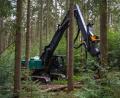 Bild: Erik Glaubitz
49 Tonnen schwer, 260 PS stark: Der Harvester wird vom Forstbetrieb Flossenbürg in alten Waldbeständen eingesetzt. Er kann starke Bäume gezielt und schonend aus dem Bestand entnehmen.
