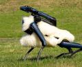Bild: Max Lametz/dpa
Robo-Schaf auf der Halde Hoheward im Ruhrgebiet