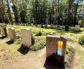 Archivbild: Gabi Schönberger
Der Waldfriedhof Weiden. Hier findet der "Tag des Friedhofs" statt.