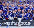 Bild: Uwe Anspach/dpa
Viele DEL-Trainer sehen das Ende der Titel-Durststrecke für die Adler Mannheim gekommen. (Archiv)