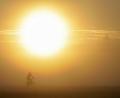 Bild: Thomas Warnack/dpa
Die UV-Strahlung steigt seit Mitte der 90er Jahre mit der Sonnenscheindauer (Archivbild)