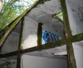 Bild: Thorsten Schreiber
Anfang der 1970er Jahre waren nahe des heutigen Sibyllenbads zwei Sanatorien mit Kurmittelhaus aus dem Boden gestampft worden. Die Überreste sind mehrere Hundert Meter lang, etwa 100 Meter breit und zwei Stockwerke hoch. Ein Lost Place wie aus dem Bilderbuch, inklusive Graffiti an den Wänden.