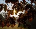 Symbolbild: Alicia Windzio/dpa
Was der Herbst mit unserem Körper macht – fünf Theorien im wissenschaftlichen Check.