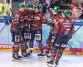 Bild: Andreas Gora/dpa
Die Eisbären Berlin bejubeln den Treffer von Liam Kirk (2.v.l.) zum 2:0 gegen die Straubing Tigers.