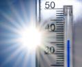 Bild: Patrick Pleul/dpa
Im Juni knackten die Temperaturen in Deutschland Rekorde. (Symbolbild)