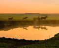 Bild: Fotodesign Gerd Dollhopf
Landschaftsaufnahme bei Nowo Ichsanowo, Bashkortostan.