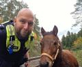 Bild: Polizeiinspektion Sulzbach-Rosenberg
Tierischer Einsatz für den Sulzbach-Rosenberger Polizeihauptkommissar Stefan Masson: Er musste bei Kauerhof ein Pony vom Bahngleis führen.