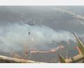 Bild: colprensa / Akt. Bifu/Colprensa/dpa
Hunderte Einsatzkräfte sind an der Bekämpfung der Flammen beteiligt.