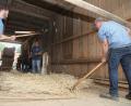 Bild: Rudolf Hirsch
Die Museumslandwirte beherrschen das "Drischldreschen" sehr gut: Mit dem "Flegel" dreschen sie auf die Getreidegarben ein.