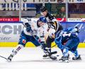 Archivbild: Elke Englmaier
Zwei Spiele und zwei Scorerpunkte: Kassels Jake Weidner (links) traf beim 7:3-Erfolg in Dresden.