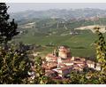 Bild: Bernhard Krieger/dpa-tmn
Der Barolo aus der Umgebung der gleichnamigen Gemeinde gehört zu den berühmtesten Weinen der Welt. (Archivbild)