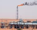Bild: Ali Haider/EPA/dpa
Saudi-Arabien ist der weltgrößte Ölexporteur. (Symbolbild)