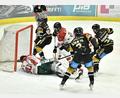 Bild: Hubert Ziegler
Die Eishockey-Bayernliga startet am ersten Oktober-Wochenende in die neue Saison. Top-Favorit ist der EHC Königsbrunn. Der Vorjahresmeister siegte vergangene Saison mit 5:2 beim ERSC Amberg (Szene).