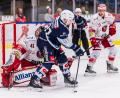 Bild: Werner Moller
Michael Regush legt in dieser Szene den dritten Treffer der Blue Devils Weiden am Sonntagabend gegen die Eispiraten Crimmitschau auf. Der 28-Jährige avancierte mit seinen drei Assists zum Matchwinner.