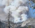 Bild: Uncredited/National Parks Service/AP/dpa
Die Umweltschäden durch Waldbrände sind immens. (Archivbild)