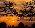 Bild: Patrick Pleul/dpa
Sonnenuntergang Ende September