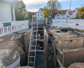Bild: Paul Zrenner
Größer als bisher dimensioniert ist der neue Kanalstrang, der in der Brauhausstraße Oberflächenwasser in die Wondreb ableitet. Der Zulauf ist am Dienstag verlegt worden. Im Hintergrund die früheren Wirtschaftsgebäude des Klosters im bereits sanierten Mühlenviertel.