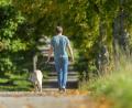 Symbolbild: Thomas Warnack/dpa
Bei Hof riss sich ein Hund wohl von der Leine los und wurde wenig später auf der Bundesstraße überfahren.