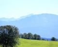 Bild: Karl-Josef Hildenbrand/dpa
Das Wetter in Bayern bleibt - nach kurzer Durststrecke am Freitag - vielerorts  spätsommerlich.