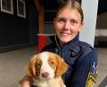 Bild: PI Neunburg vorm Wald
Eine 39-Jährige hat in Neunburg vorm Wald einen gechippten Hundewelpen in ihrem Garten gefunden. Die Polizei sucht den Besitzer.