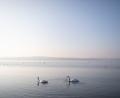 Bild: Philipp von Ditfurth/dpa
Der Bodensee ist für die Jahreszeit ungewöhnlich warm. (Symbolbild)