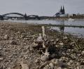 Bild: Oliver Berg/dpa
In großen Teilen Europas kam es zu Niedrigwasser - wie hier in Köln.