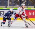 Bild: Werner Moller
Tommy Muck (links) von den Blue Devils Weiden gegen Pepino Langmeier (Eisbären Regensburg).