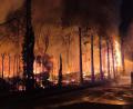 Bild: Florian Blaes/dpa
Meterhoch schlugen die Flammen am Campingplatz „Bella Italia“.