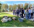 Bild: Claudia Völkl
Siesta: Die Schafe lassen sich von den Besuchergruppen, die Günther Hanauer (Vierter von links) durch das Museum führt, nicht stören.