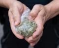 Bild: Boris Roessler/dpa
Die Polizei stellte mehrere Kilogramm Cannabis, ein Kilogramm Haschisch, mehrere Hundert Gramm Kokain sowie eine größere Summe Bargeld sicher. (Symbolbild)