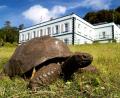 Bild: Joe Holland/EurekAlert/dpa
Jonathan ist fast 200 Jahre alt.