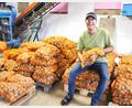 Bild: Gertraud Portner
Landwirt Sebastian Betz aus Weiding ist Kartoffelbauer aus Leidenschaft. Einmal pro Woche werden die Knollen für den Direktvertrieb sortiert und verpackt.