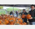 Bild: Gabriela Amann
Kürbisse symbolisieren im Herbst gerne die Ernte. Sie durften deshalb beim Herbst-Bauernmarkt mit Kreiserntedankfest nicht fehlen.