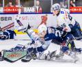 Bild: Tobias Neubert
Die Blue Devils Weiden um Maximilian Brunner gewannen gegen die Ravensburg Towerstars 4:3.