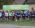 Bild: Rudolf Hirsch
Start des 18. Schwandorfer Landkreislaufes in Reuting: 127 Läufer machten sich auf den Weg zum ersten Etappenziel "Warmersdorf".