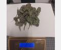 Bild: Bundespolizei
Die Beamten entdeckten das Marihuana im Rucksack.