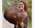 Bild: Hannah Zeus
Die elfjährige Victoria zeigt den Riesen-Steinpilz, den sie mit ihrem Bruder Thomas im Waldnaabtal gefunden hat. Die Kappe hat einen Durchmesser von 33 Zentimetern.