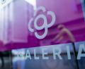 Bild: Rolf Vennenbernd/dpa
Aktuell hat Galeria noch 83 Warenhäusern. Offen ist bislang, wie viele nach dem Insolvenzverfahren fortgeführt werden.